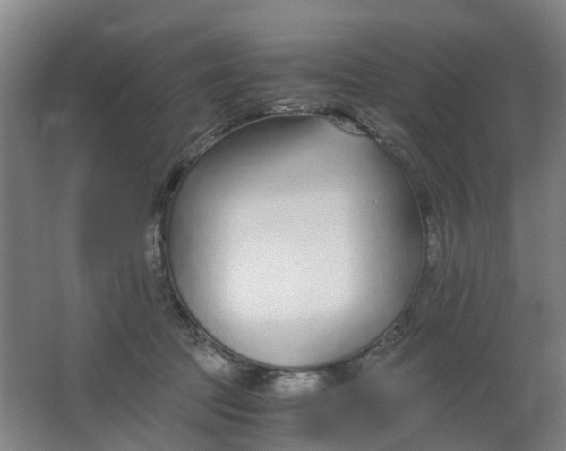 X0000063520369200602032116