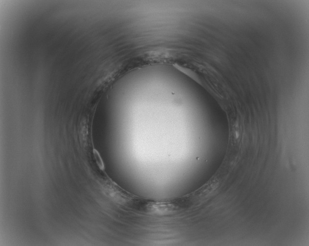 X0000063520372200602032116