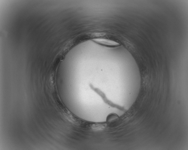 X0000063520373200602032116