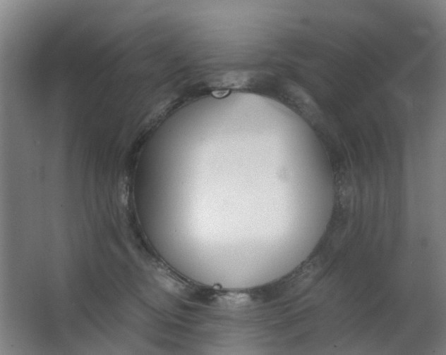 X0000063520374200602032116