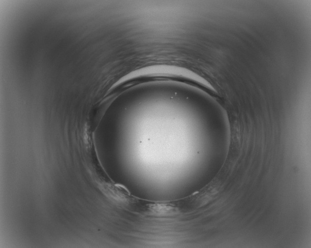 X0000063520380200602032116