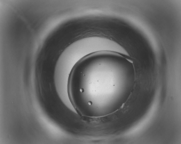 X0000063520382200602032116