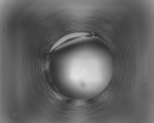 X0000063520384200602032116