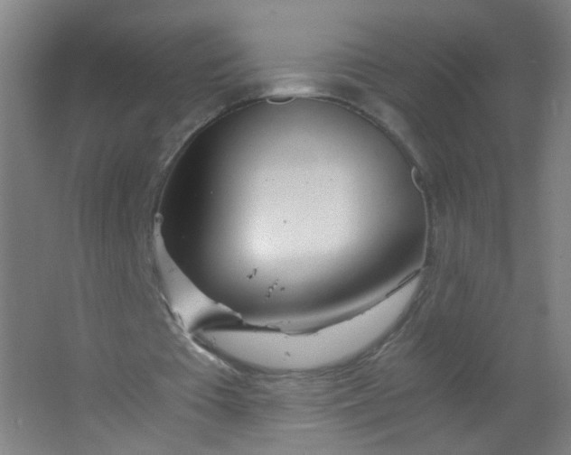 X0000063520385200602032115