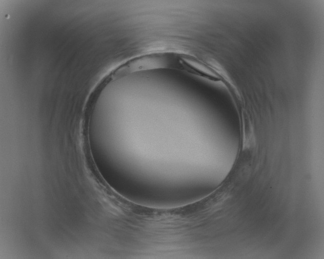 X0000063520387200602032115