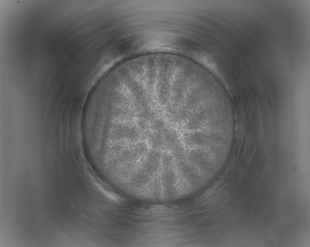 X0000063520390200602032115