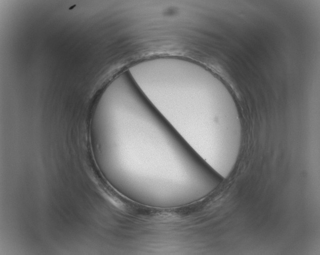 X0000063520397200602032115