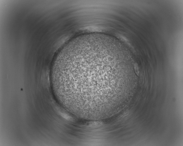 X0000063520398200602032115