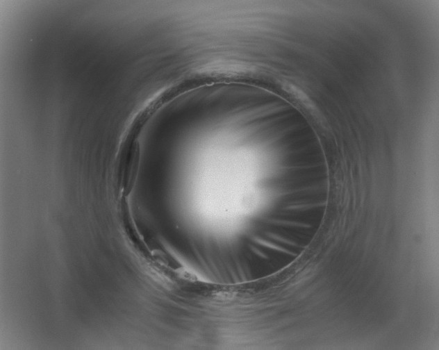 X0000063520399200602032115