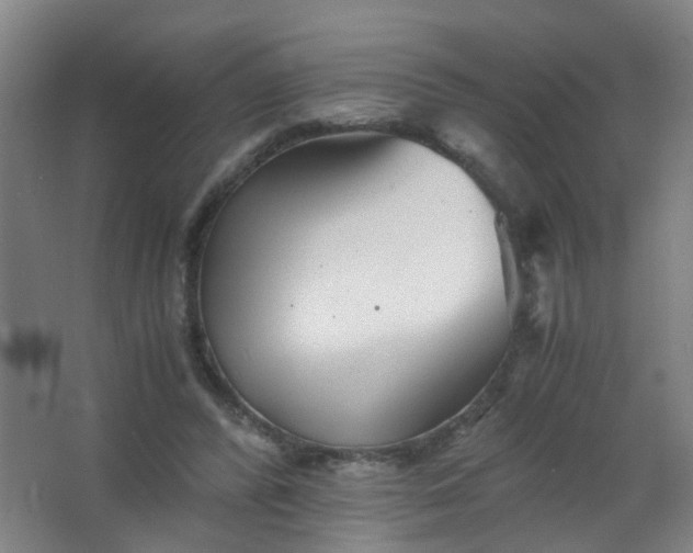 X0000063520400200602032115