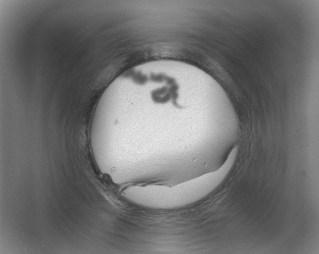 X0000063520401200602032115