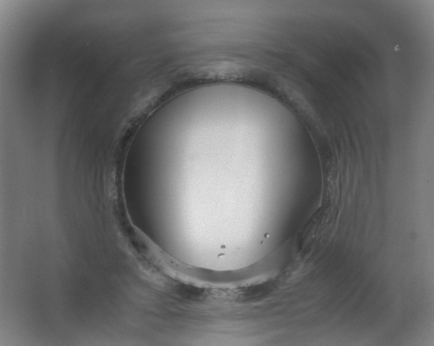 X0000063520403200602032115