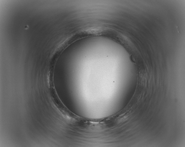 X0000063520404200602032115