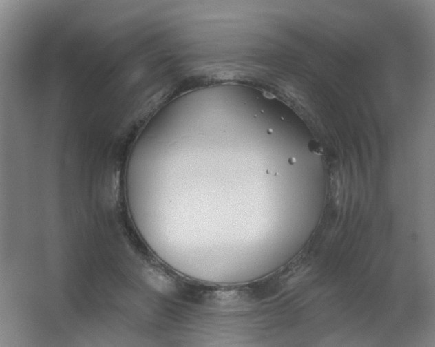 X0000063520406200602032115