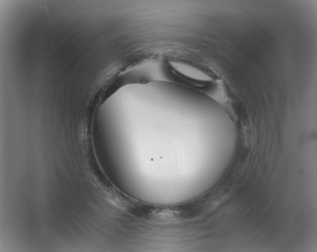 X0000063520407200602032115