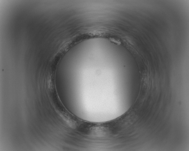 X0000063520408200602032115