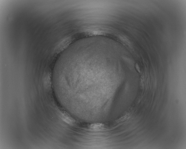 X0000063520410200602032115