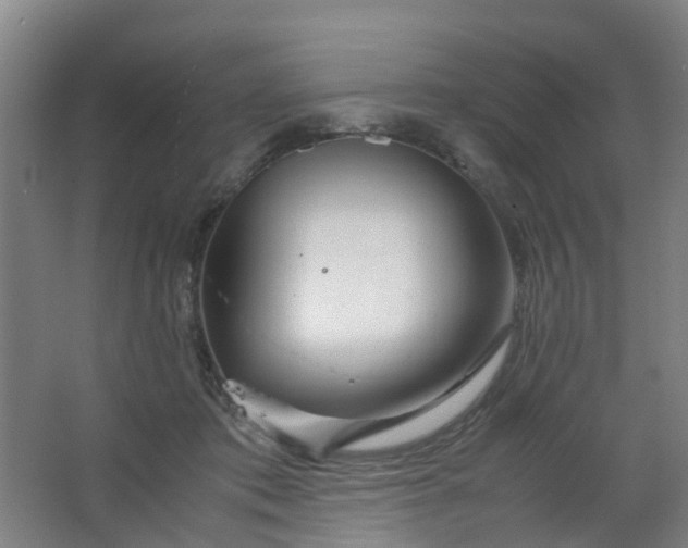 X0000063520413200602032115