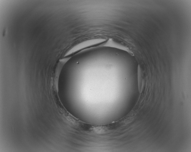 X0000063520417200602032115