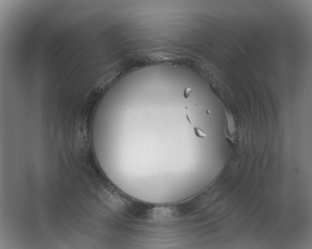 X0000063520418200602032115