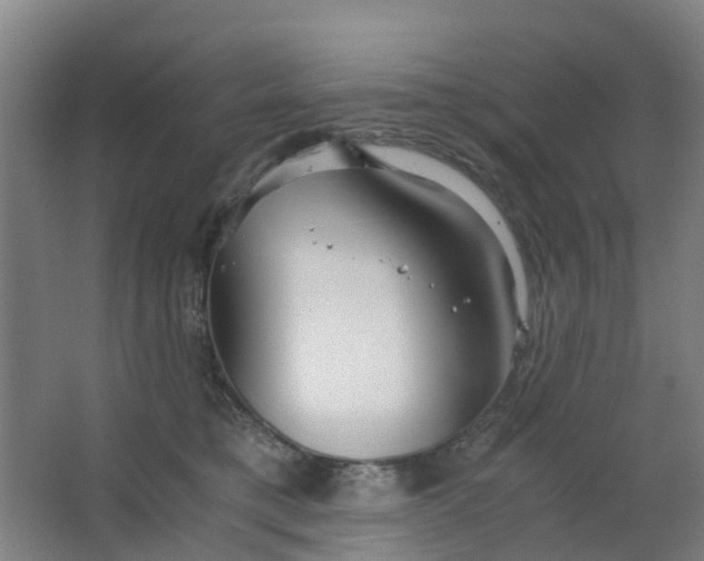 X0000063520421200602032115