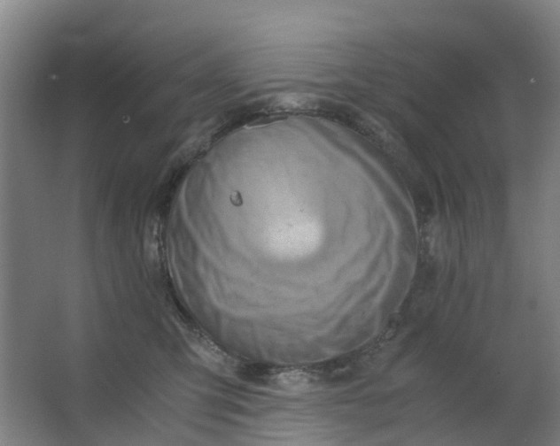 X0000063520423200602032115