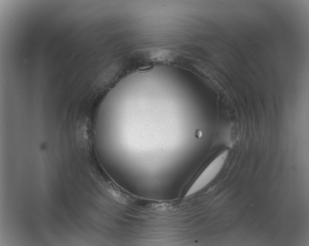 X0000063520424200602032115