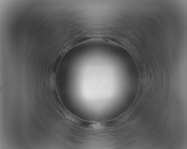 X0000063520425200602032115