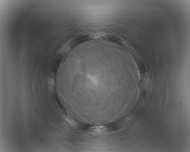 X0000063520427200602032115