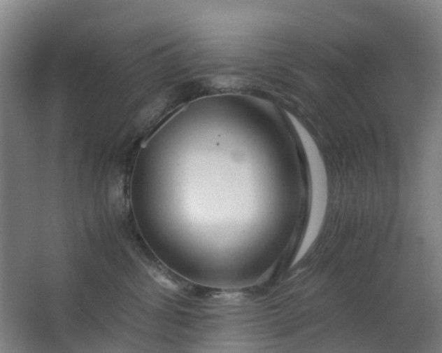 X0000063520428200602032115