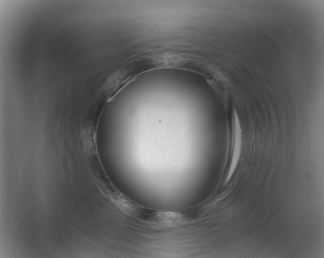 X0000063520429200602032115