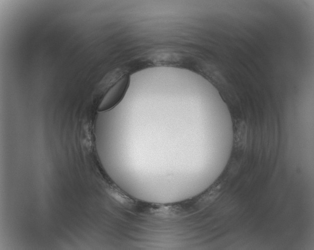 X0000063520430200602032115