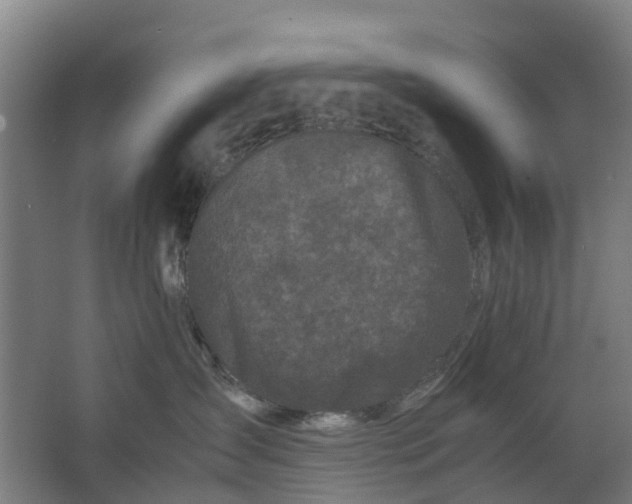 X0000063520431200602032115