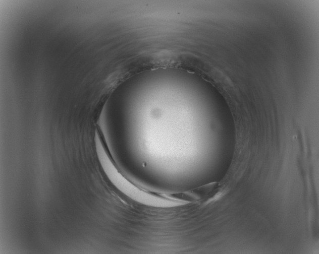 X0000063520432200602032115