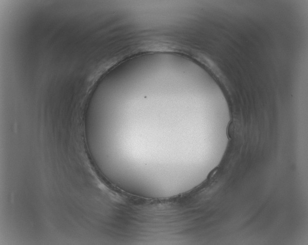 X0000063520433200602032114