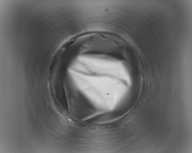 X0000063520434200602032114