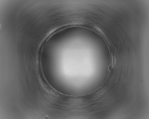 X0000063520435200602032114