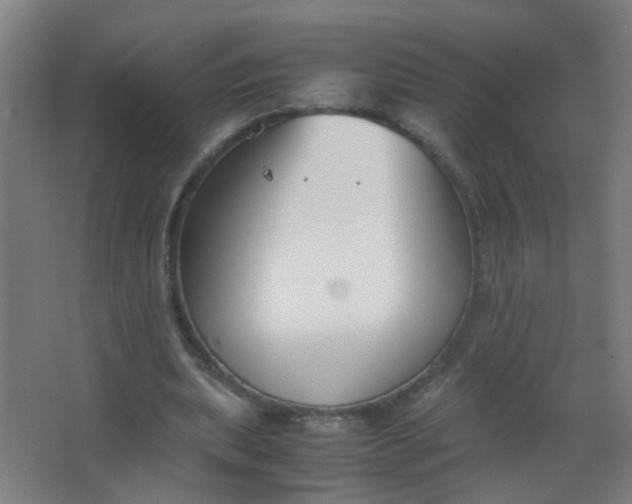 X0000063520439200602032114