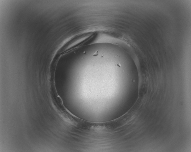 X0000063520440200602032114