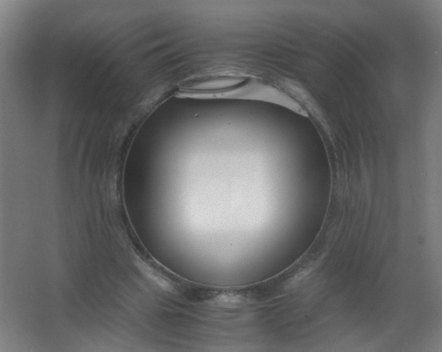 X0000063520441200602032114