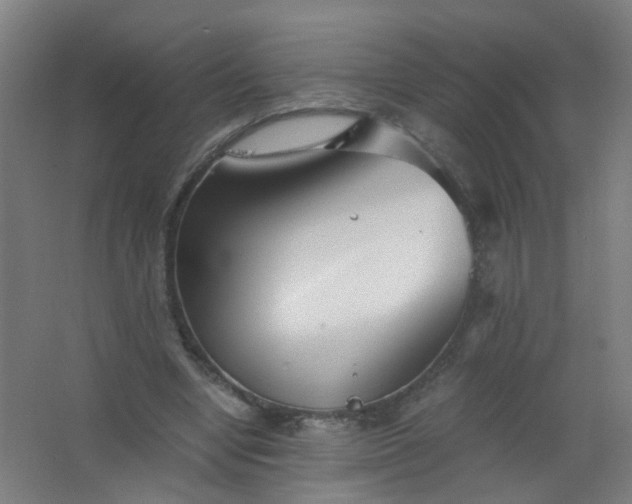 X0000063520442200602032114