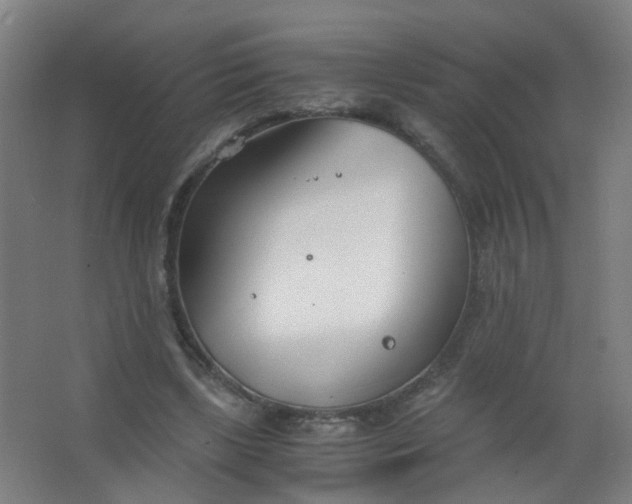 X0000063520443200602032114