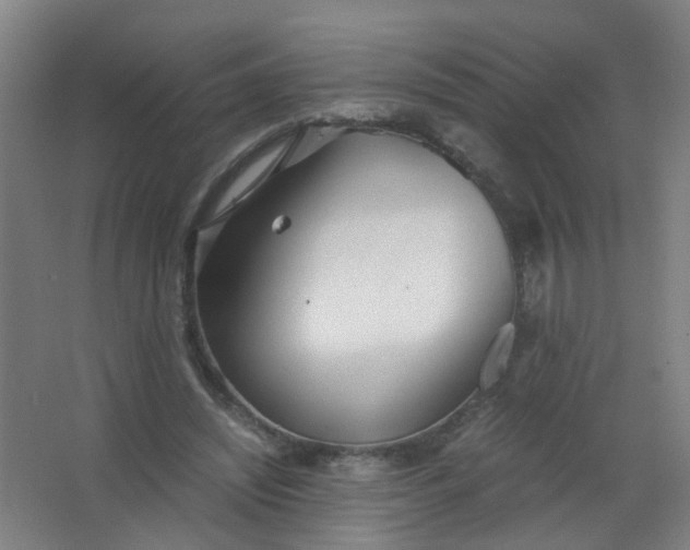 X0000063520444200602032114