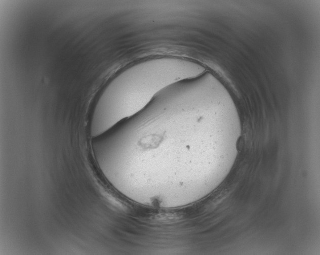 X0000063520445200602032114