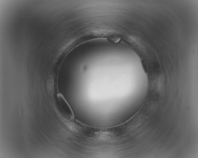 X0000063520448200602032114