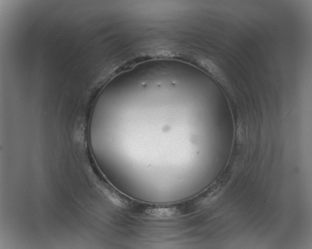 X0000063520449200602032114