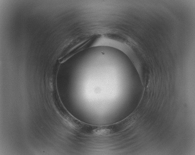 X0000063520452200602032114