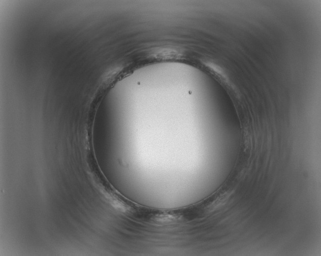 X0000063520453200602032114