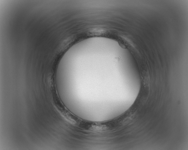 X0000063520455200602032114