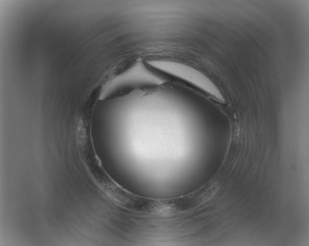 X0000063520456200602032114